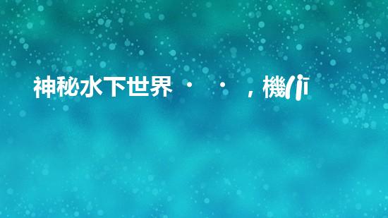 神秘水下世界，機(jī)器人揭開(kāi)深海寶藏！
